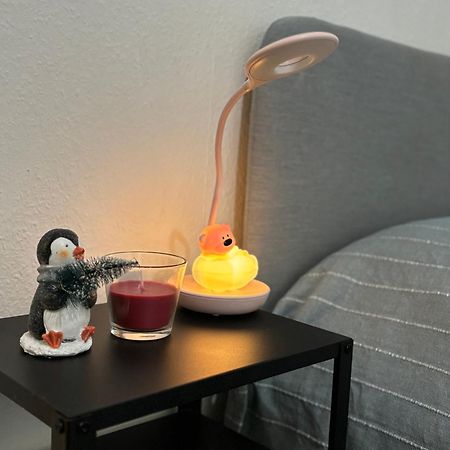 Appartement Au Coeur Strasbourg Eksteriør bilde