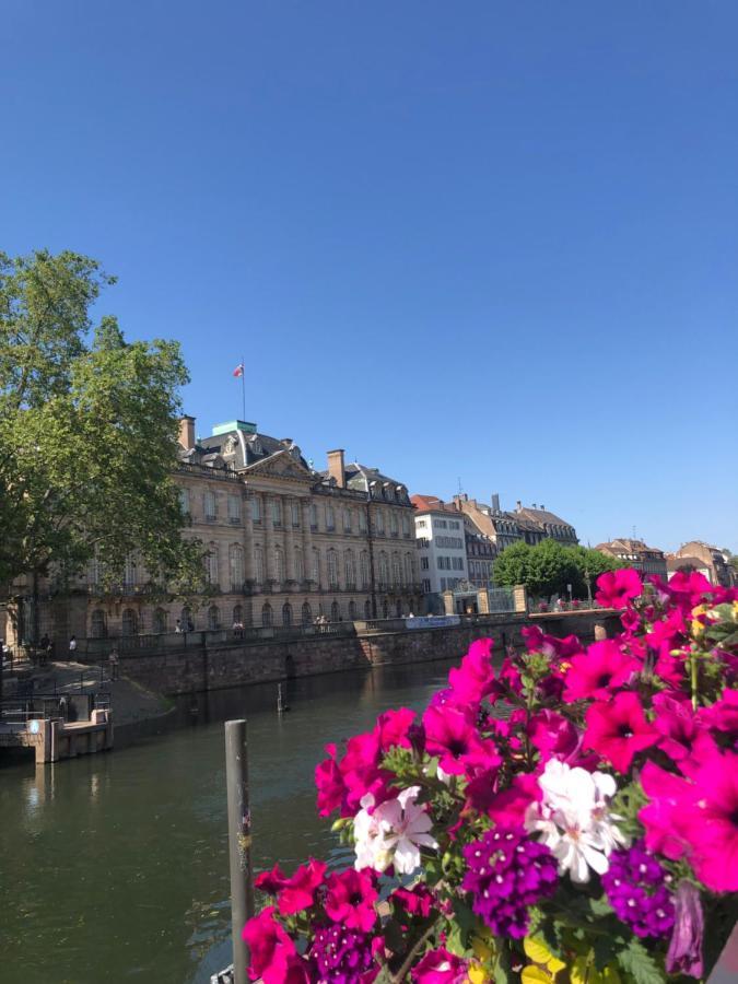 Appartement Au Coeur Strasbourg Eksteriør bilde